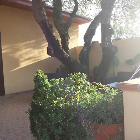 S'arriali Ranch * Iglesias