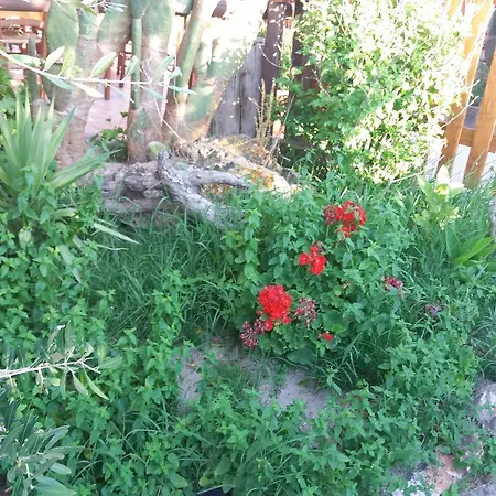 Landhaus S'arriali Ranch Iglesias
