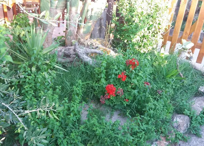 Casa di campagna S'arriali Ranch Iglesias