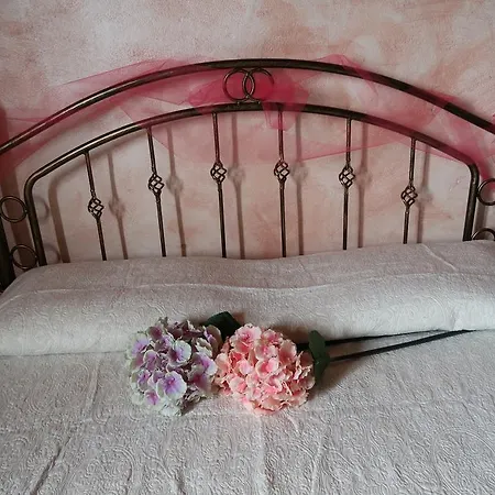 S'arriali Ranch Landhaus *