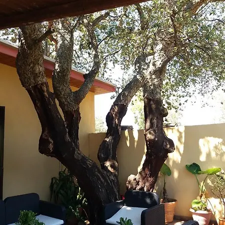 Landhaus S'arriali Ranch