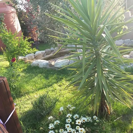 S'arriali Ranch Iglesias